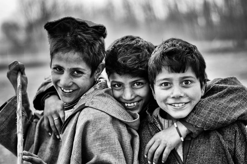 Hidden Brotherhood
